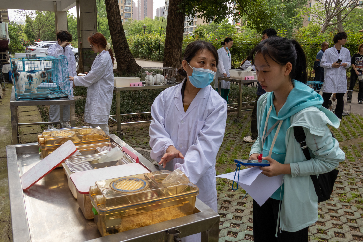 实验动物中心杨春荣老师为来访学生介绍实验动物（学通社记者 车媛媛 摄）